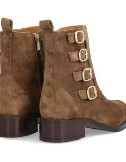 New Alpe Alain-2