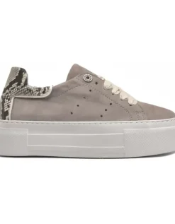 New Alpe First