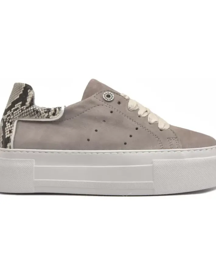 New Alpe First