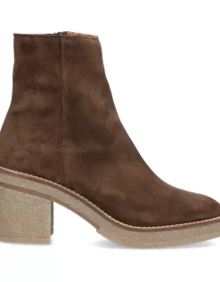 Sale Alpe Janis